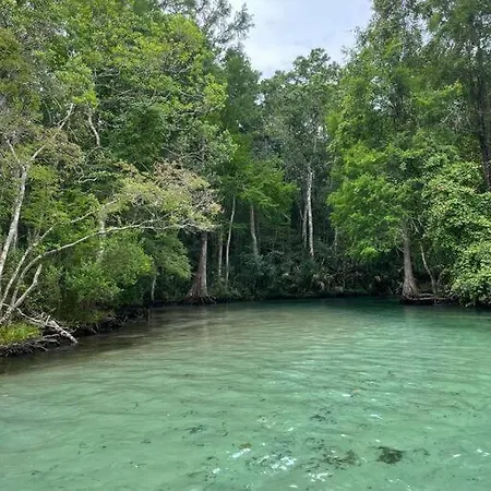 Weeki Wachee Retreat Canal Home With Hot Tub Kayaks Canoe And Boat With Trolling Motor Included Spring Hill Extérieur photo