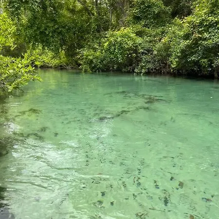 Weeki Wachee Retreat Canal Home With Hot Tub Kayaks Canoe And Boat With Trolling Motor Included Spring Hill Extérieur photo