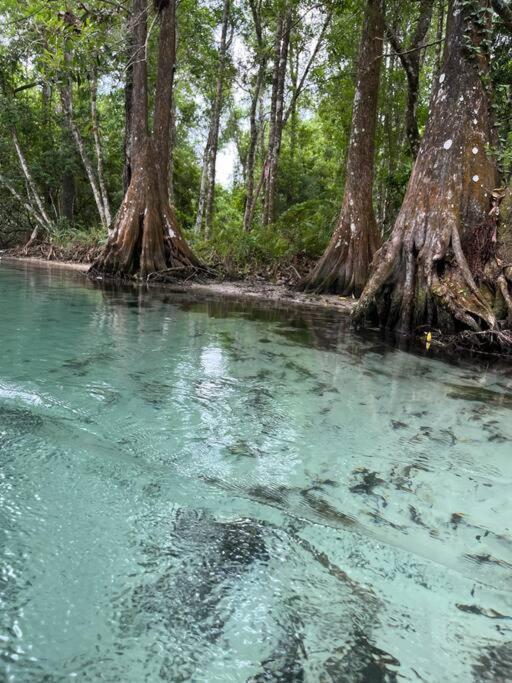 Weeki Wachee Retreat Canal With Hot Tub Kayaks Canoe And Boat With Trolling Motor Included *