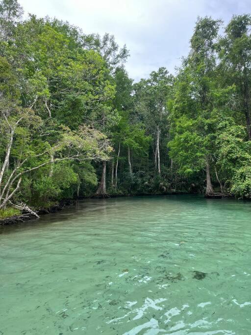 Weeki Wachee Retreat Canal With Hot Tub Kayaks Canoe And Boat With Trolling Motor Included