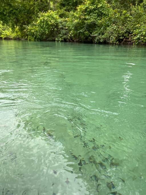 Weeki Wachee Retreat Canal With Hot Tub Kayaks Canoe And Boat With Trolling Motor Included Hébergement de vacances *